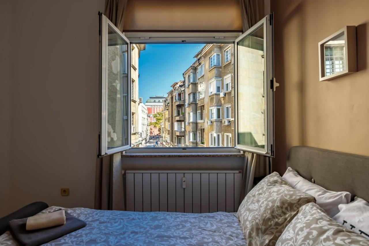 11 * Sofia